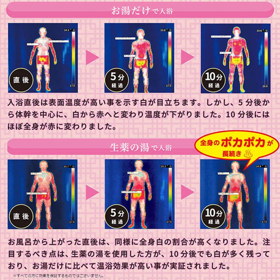 薬用入浴剤 生薬の湯 ティーバッグ式 20g×30包入 × 20点の画像
