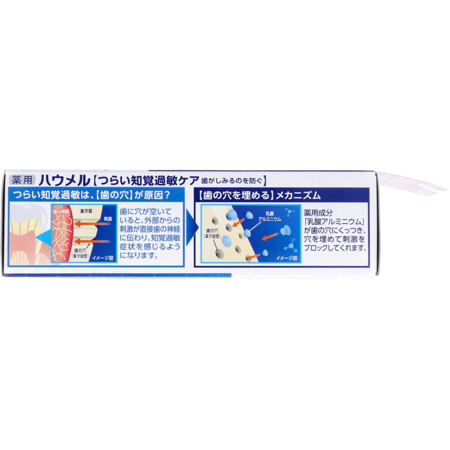 薬用ハミガキ ハウメル フレッシュミント 100g × 48点の画像