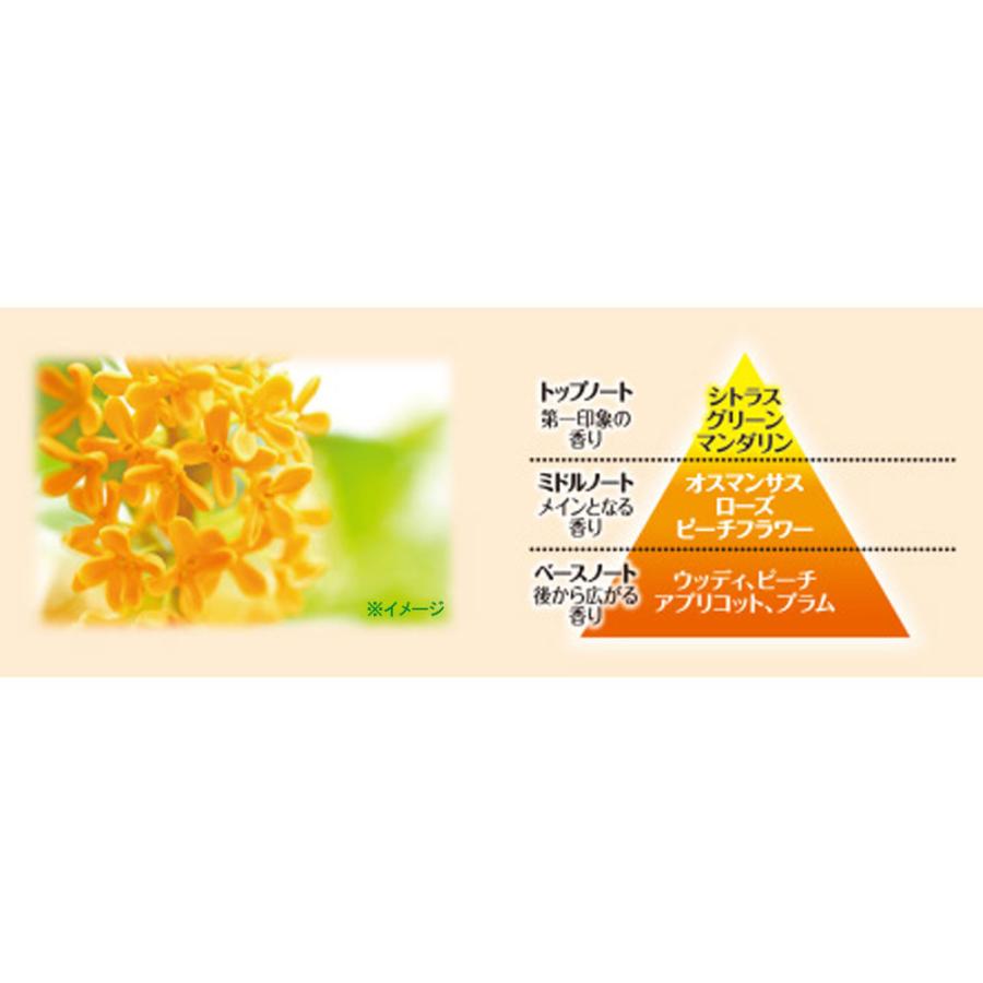 サワデー香るスティック パルファム キンモクセイ 70mL × 21点の画像