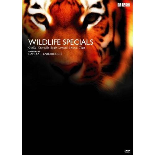在庫有 c ワイルド ライフ スペシャル Dvd Box 高い素材 Www Thedailyspud Com
