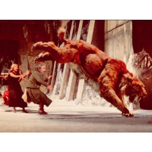 【値下げ中】 レイ・ハリーハウゼン コンプリート・コレクション [DVD] 【P1560606111】(55743円)