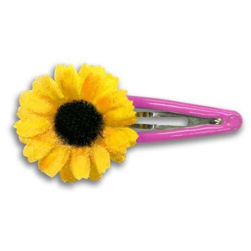 だいすき!! [DVD] 