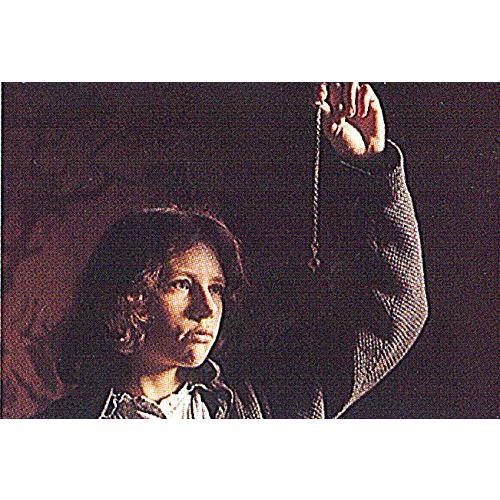 ビクトル・エリセ監督『ミツバチのささやき』『エル・スール』Blu-ray ツインパック(初回限定) 『ミツバチのささやき』『エル