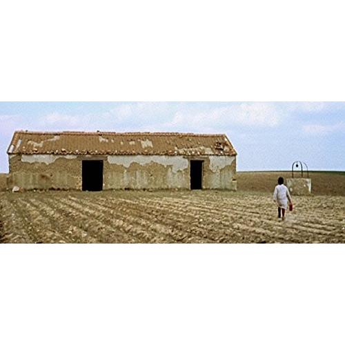 ビクトル・エリセ監督『ミツバチのささやき』『エル・スール』Blu-ray ツインパック(初回限定) 『ミツバチのささやき』『エル