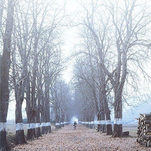 ビクトル・エリセ監督『ミツバチのささやき』『エル・スール』Blu-ray ツインパック(初回限定) 『ミツバチのささやき』『エル