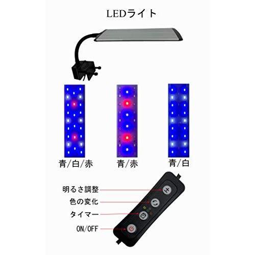 GankPike アクアリウムセット 超クリアガラス水槽 海水魚水槽 (容量 約31L) 超クリアガラス水槽 海水魚水槽