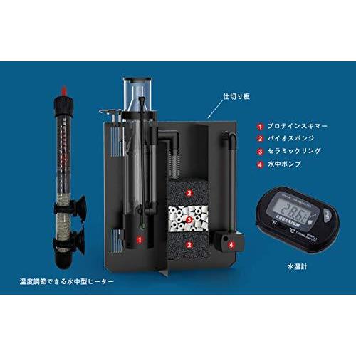 GankPike アクアリウムセット 超クリアガラス水槽 海水魚水槽 (容量 約31L) 超クリアガラス水槽 海水魚水槽