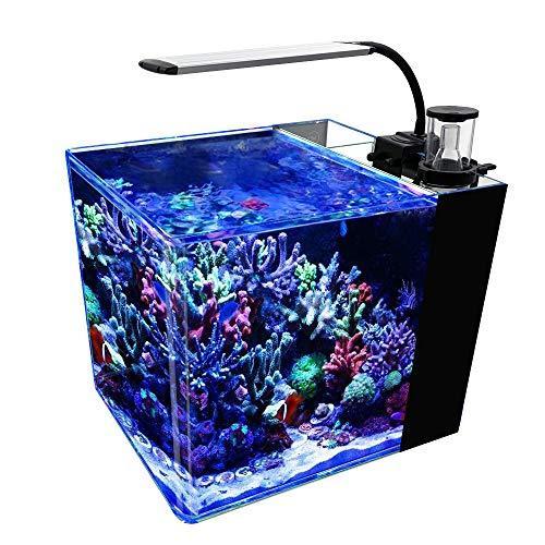 Gankpike アクアリウムセット 超クリアガラス水槽 海水魚水槽 容量 約31l A B0mwmtkr 1114 Mega Gift Shop1 通販 Yahoo ショッピング