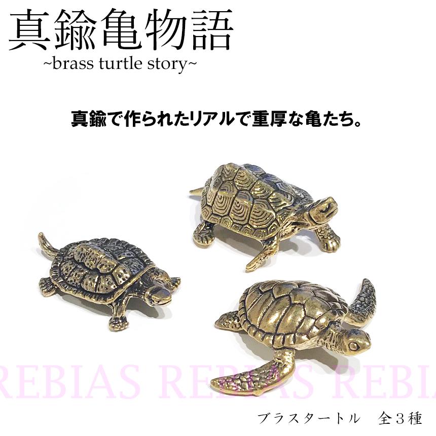 海亀 イシガメ ミドリガメ 真鍮亀物語 ブラス タートル リアル BRASS