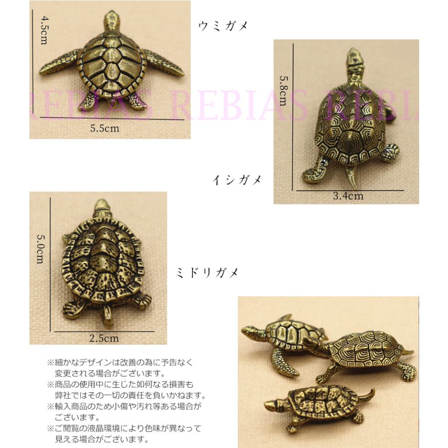 海亀 イシガメ ミドリガメ 真鍮亀物語 ブラス タートル リアル BRASS