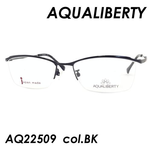 無料 最大81％オフ AQUALIBERTY アクアリバティ メガネ AQ22509 col.BK 53ｍｍ 日本製 料金そのままで伊達メガネ 度付きメガネも対応可 vanille-und-zimt.de vanille-und-zimt.de