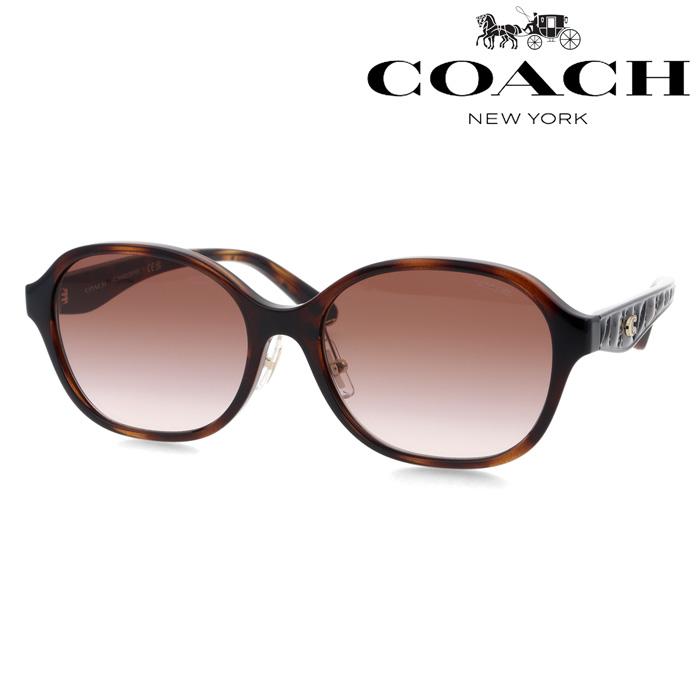 COACH（コーチ） サングラス HC8445D col.512013 56mm 国内正規品