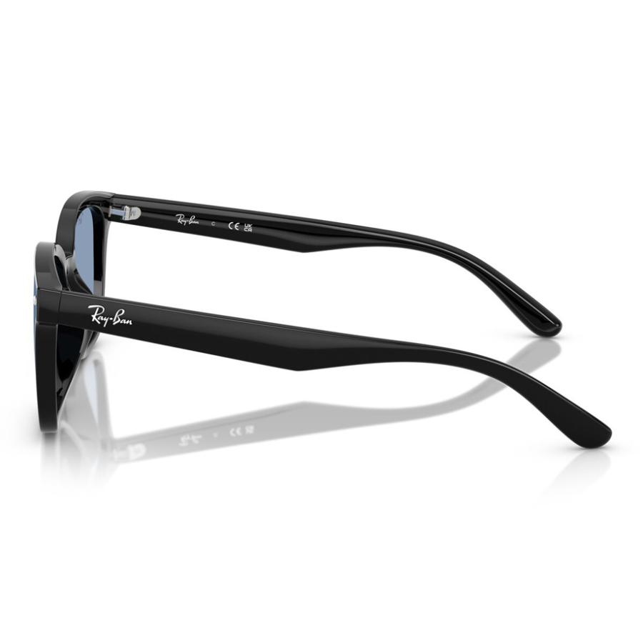 Ray-Ban（レイバン） サングラス RB4461D 601/80 64mm ブラック 紫外線