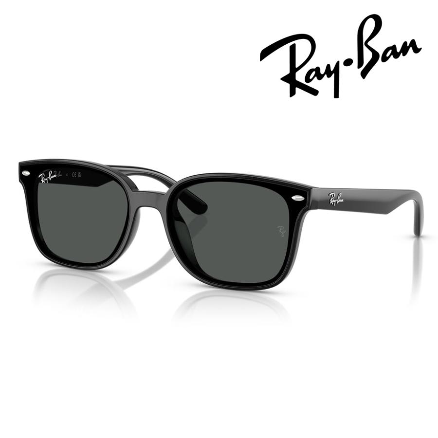 Ray-Ban（レイバン） サングラス RB4461D 601/87 64mm ブラック 紫外線