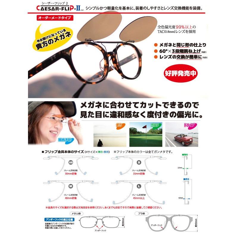 偏光サングラス TALEX トゥルービュー・シーザーフリップ