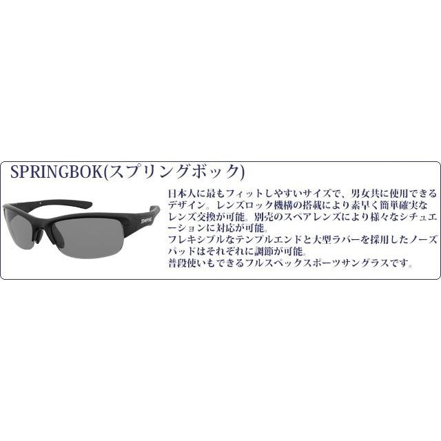 SWANS（スワンズ） スポーツサングラス SWANS SPRINGBOK SPB-0701