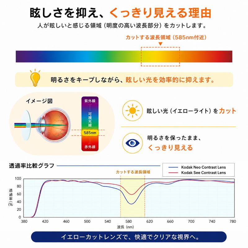 レンズ交換！ ネオコントラスト シーコントラスト 度入り 度つき 眩し