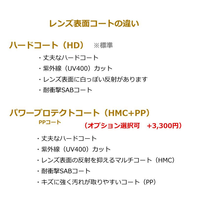 コダック偏光レンズ　ポラマックス6160　度なし　平面　持込みフレーム　レンズ交換　ハーフカラー可　サングラス　PolarMax（2枚1組）｜meganeyou｜10