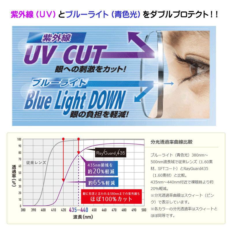 HOYA レイガード435 【HOYA Ray Guard】 度なし アウトドア＆PC用