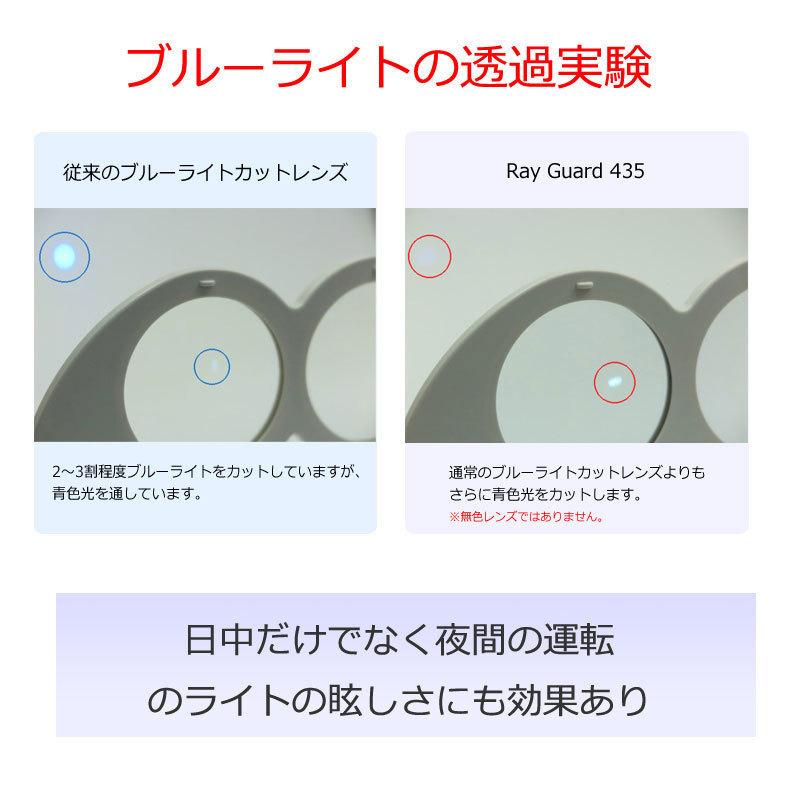 HOYA レイガード435 【HOYA Ray Guard】 度なし アウトドア＆PC用