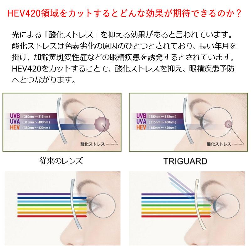 Ray-Ban 青色光＆黄色光カット！ トライガード＆レイバンセット