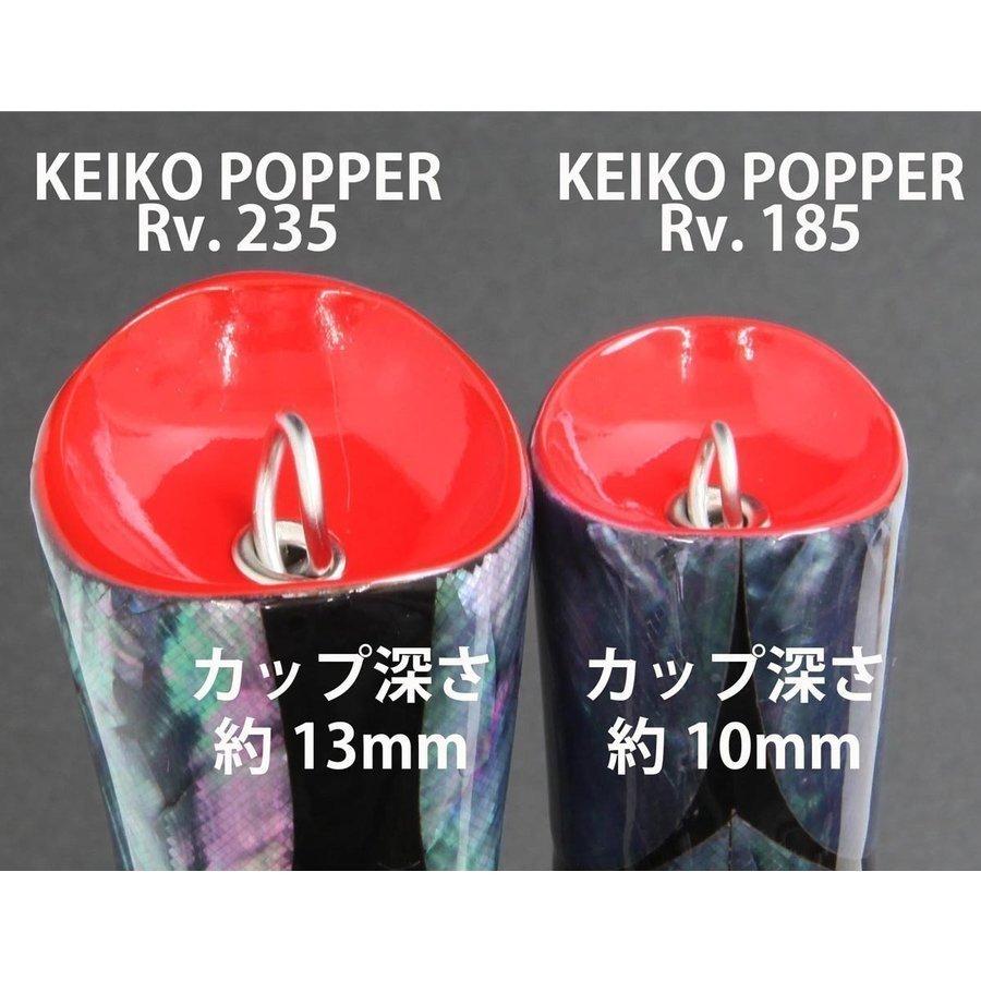 ホッツ (HOTS) ケイコオーシャンポッパー KEIKO OCEAN POPPER Rv