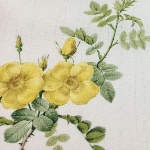 花嫁のれん風タペストリー 花嫁のれん風タペストリー 花嫁のれん風タペストリー 楽天市場