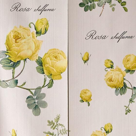 ルドゥーテ タペストリー のれん 幅84×丈148cm 暖簾 目隠し 間仕切り