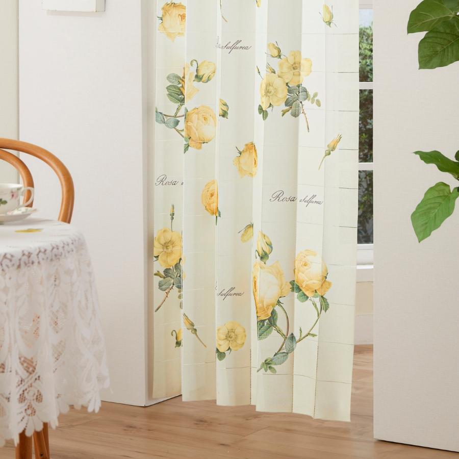 ルドゥーテ アコーディオンカーテン 間仕切り 幅100cm×丈200cm レース