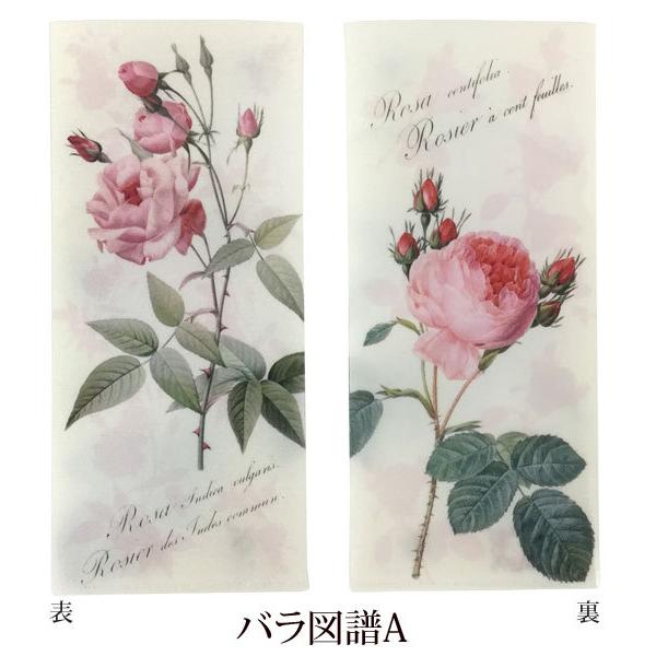 ★、バラ売り可能、ファイル ハピラ 背見出し付きクリアーファイル A4 40ポケット 12冊