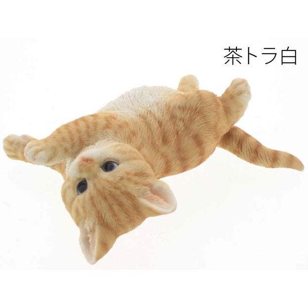 100 本物保証 ベニーズキャット 壁にのぼって遊ぶ 茶トラ白 Qy 087y 猫 置物 かわいい 可愛い インテリア オブジェ ねこ ネコ グッズ リ 50 Off Carlavista Com