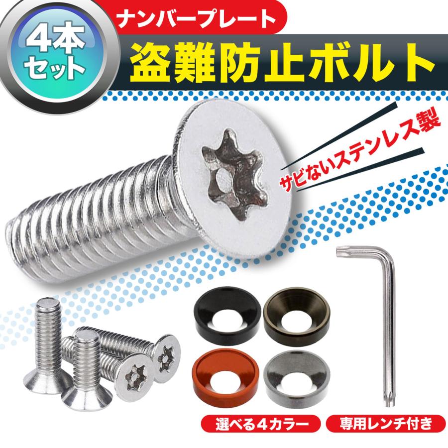 ナンバープレートボルト ナンバーフレーム 盗難防止ネジ M6 サビ防止ナンバーフレーム セキュリティ ネジ M6 の商品画像