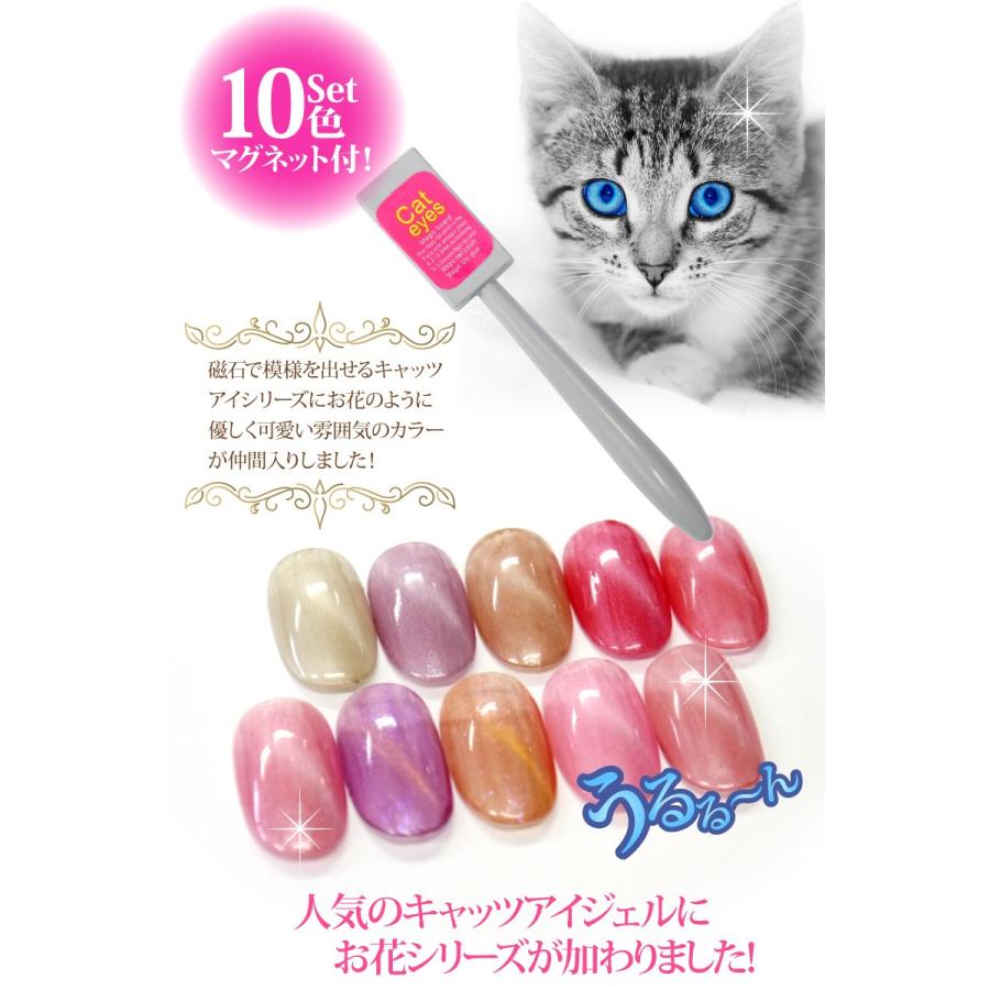 カラージェル　10色セットお花のキャッツアイ 人気のキャッツアイジェルにお花シリーズが加わりました マグネット付き |  | 02