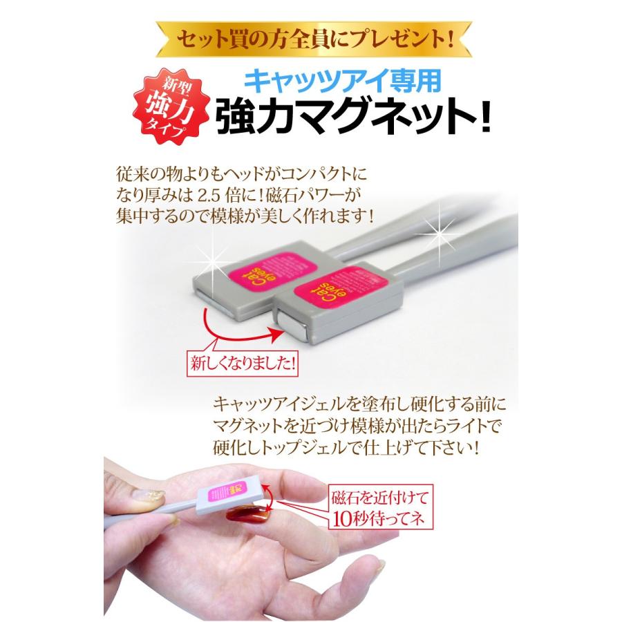 カラージェル　10色セットお花のキャッツアイ 人気のキャッツアイジェルにお花シリーズが加わりました マグネット付き |  | 03