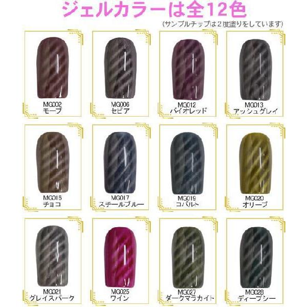 マジカルジェル　お好きなカラー２色選んでマジカル・マグネット付きで1000円 |  | 01