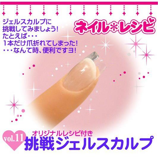 公式 ジェルネイル ネイルアート クリアジェル セット キット 挑戦ジェルスカルプ