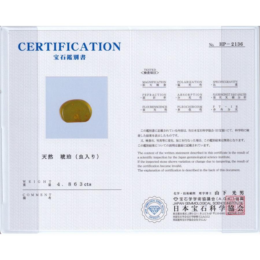 GALLERY megumi 鑑別書付き 天然 虫入り 琥珀 ルース 4.863ct こはく