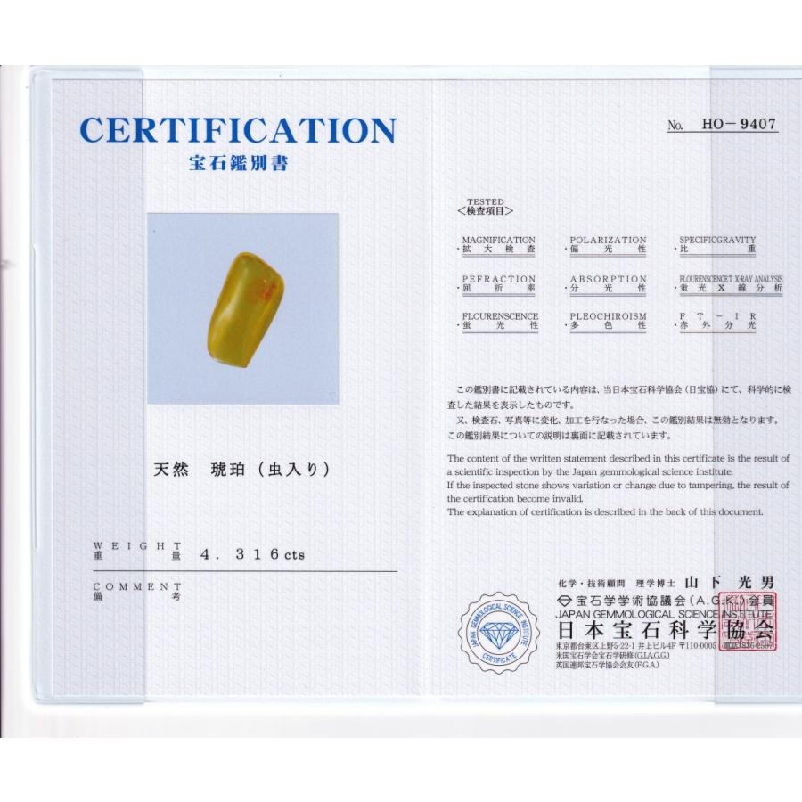 その他】 megumi 鑑別書付き 天然 虫入り琥珀 ? ルース 4.316ct 