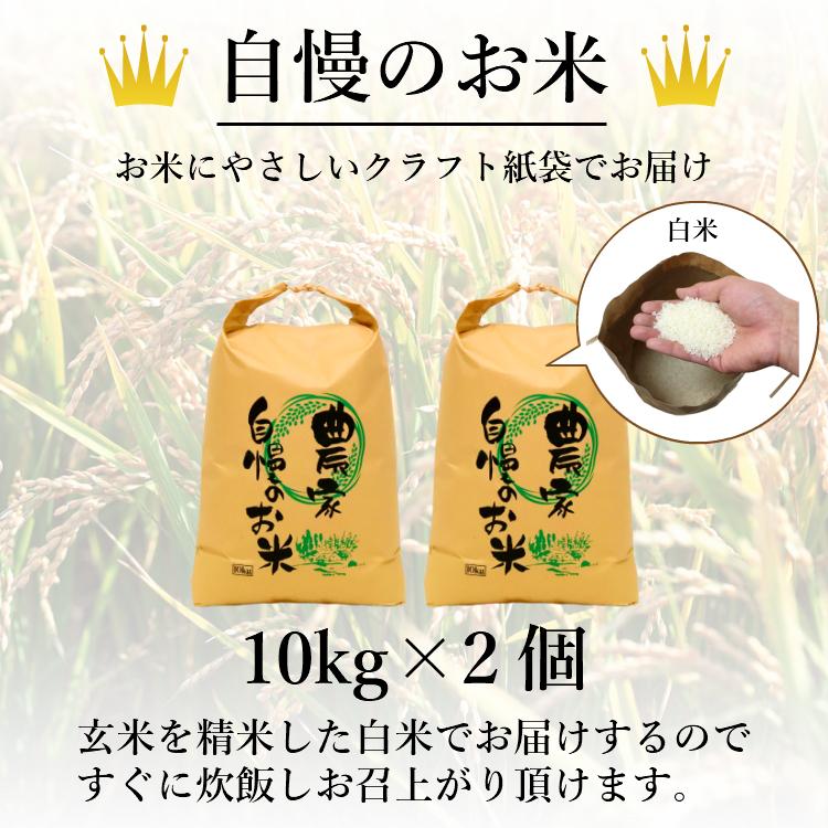 お米 コシヒカリ 精白米 20kg 会津産 送料無料 令和6年産 2024 お米 コシヒカリ 精白米 20kg 会津産 送料無料 令和6年産 2024