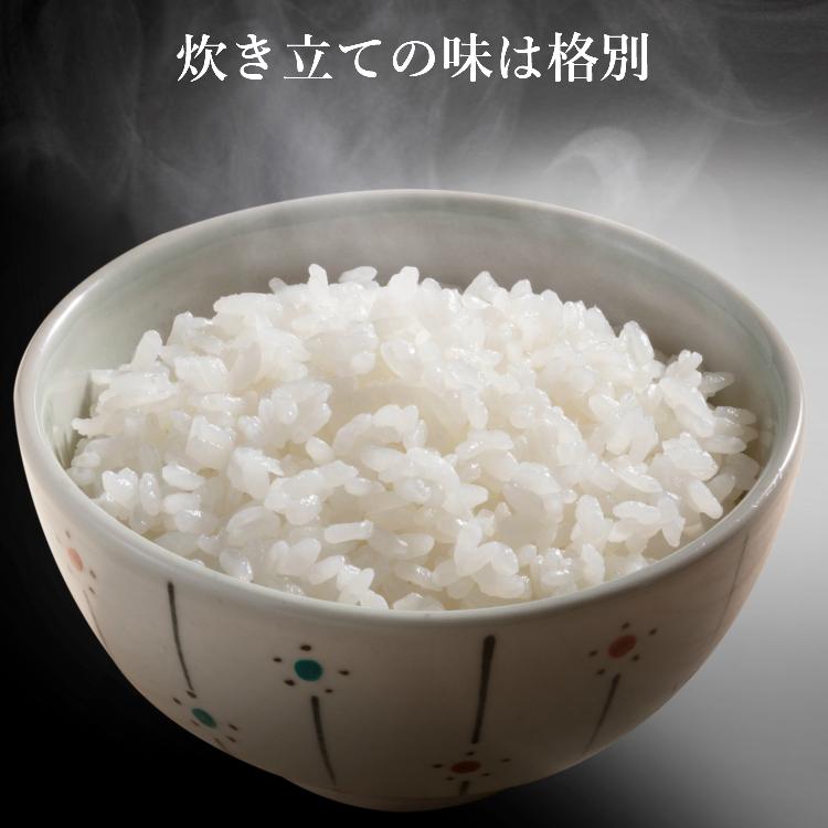 お米 コシヒカリ 精白米 20kg 会津産 送料無料 令和6年産 2024 お米 コシヒカリ 精白米 20kg 会津産 送料無料 令和6年産 2024