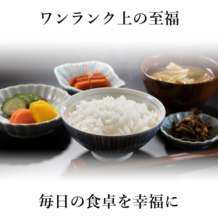 お米 コシヒカリ 精白米 20kg 会津産 送料無料 令和6年産 2024 お米 コシヒカリ 精白米 20kg 会津産 送料無料 令和6年産 2024