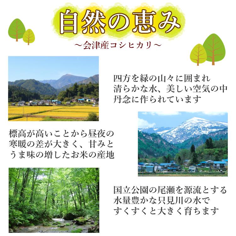 お米 コシヒカリ 精白米 20kg 会津産 送料無料 令和6年産 2024 お米 コシヒカリ 精白米 20kg 会津産 送料無料 令和6年産 2024