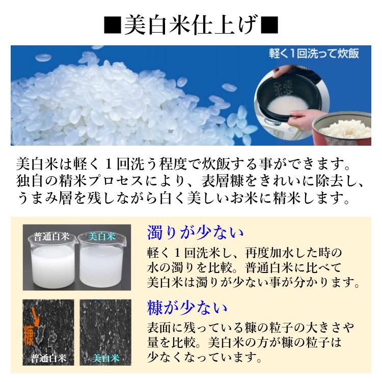 お米 コシヒカリ 精白米 20kg 会津産 送料無料 令和6年産 2024 お米 コシヒカリ 精白米 20kg 会津産 送料無料 令和6年産 2024