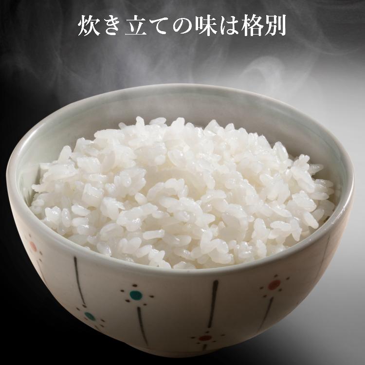 お米 コシヒカリ 精白米 5kg 会津産 送料無料 令和6年産 2024 お米 コシヒカリ 精白米 5kg 会津産 送料無料 令和6年産 2024