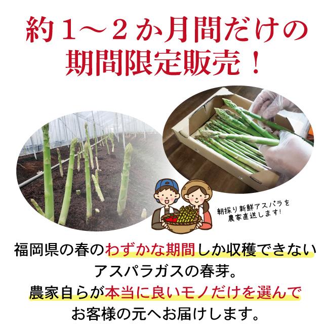 福岡県産 春芽アスパラガス 朝採り 農家直送 産地直送 産直 採りたて 新鮮 旬 期間限定 数量限定 ギフト 贈答 贈り物 1kg 2L-Lサイズ混合 |  | 01