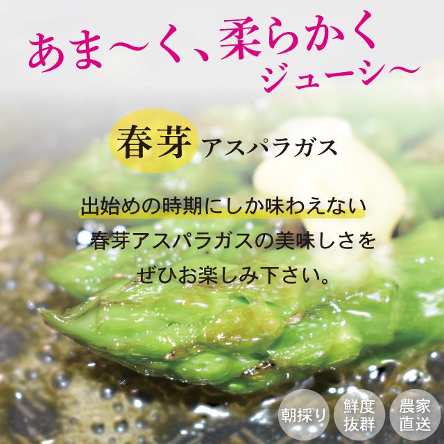 福岡県産 春芽アスパラガス 朝採り 農家直送 産地直送 産直 採りたて 新鮮 旬 期間限定 数量限定 ギフト 贈答 贈り物 1kg 2L-Lサイズ混合 |  | 03