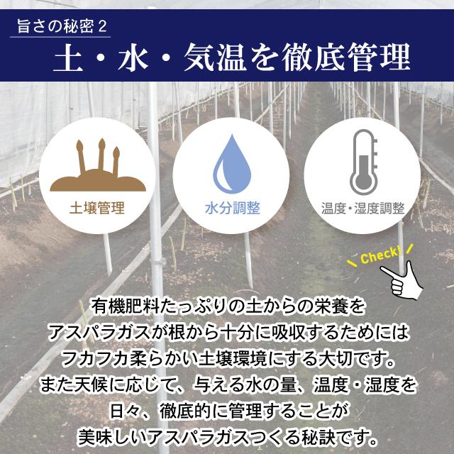 福岡県産 春芽アスパラガス 朝採り 農家直送 産地直送 産直 採りたて 新鮮 旬 期間限定 数量限定 ギフト 贈答 贈り物 1kg 2L-Lサイズ混合 |  | 07