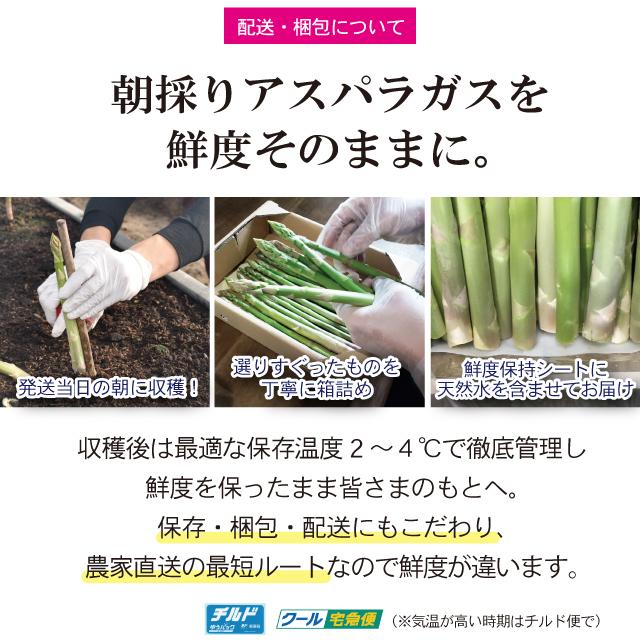 夏芽 アスパラガス 1kg L-Mサイズ混合 5月〜8月発送  夏芽 福岡県産 朝採り 採りたて 新鮮 農家直送 産地直送 産直 旬 甘い ギフト 贈答 贈り物 |  | 12