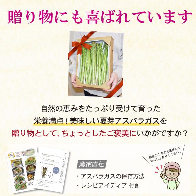 夏芽 アスパラガス 1kg L-Mサイズ混合 5月〜8月発送  夏芽 福岡県産 朝採り 採りたて 新鮮 農家直送 産地直送 産直 旬 甘い ギフト 贈答 贈り物 |  | 13