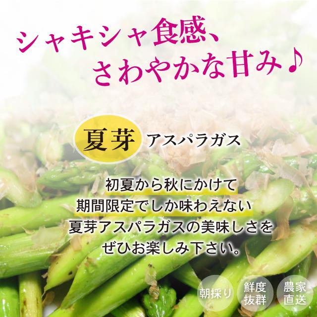 夏芽 アスパラガス 1kg L-Mサイズ混合 5月〜8月発送  夏芽 福岡県産 朝採り 採りたて 新鮮 農家直送 産地直送 産直 旬 甘い ギフト 贈答 贈り物 |  | 02